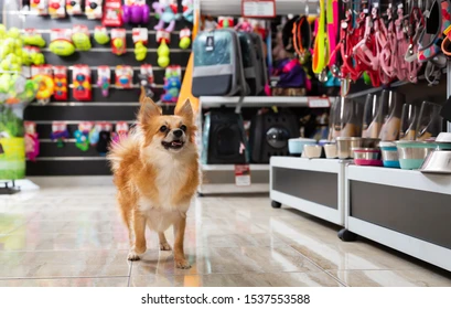 Pet Accessories Shop